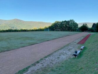 Unkrautproblem Sportplatz