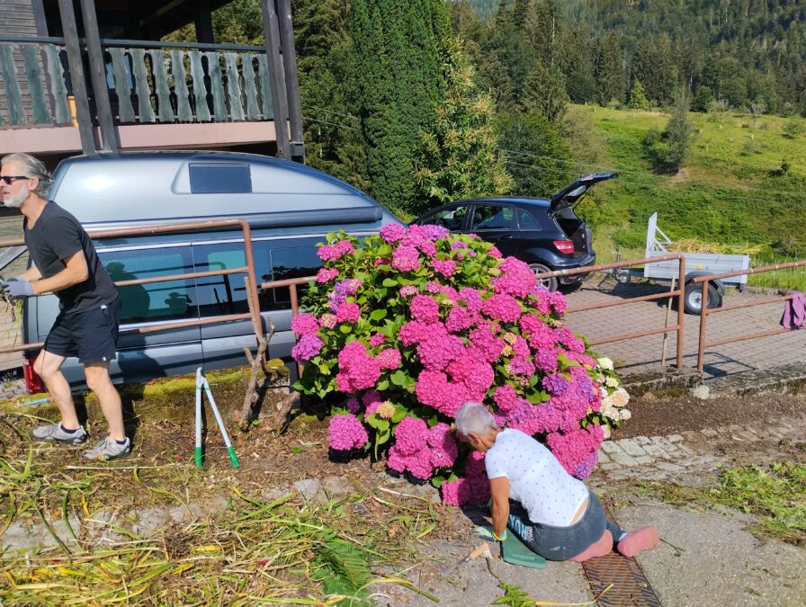 Vorbereitungen für Sommerparty laufen auf Hochtouren